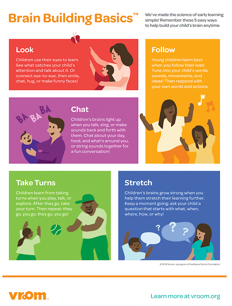Brain building basics infographic